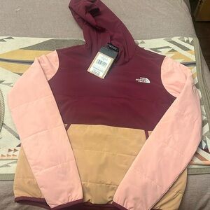 The north face Mountain sweatshirt